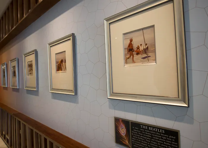 하드 록 테네리페 5*